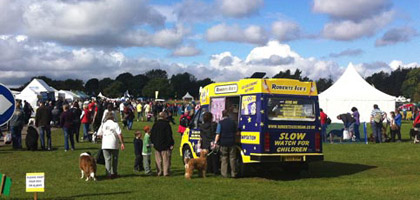Ice Cream Van to Hire for an Event